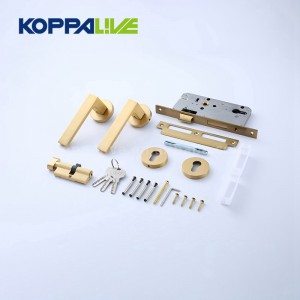 factory customized Kitchen Handles And Pulls - Lever Door Handle-924B – Zhangshiwujin