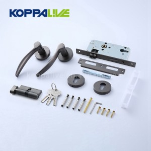Factory Price For Vintage Brass Door Handles - Lever Door Handle-927B – Zhangshiwujin