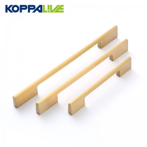 6606 Rectangle Brass Cabinet Handle