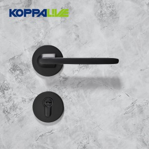 Special Design for Door Pull Handles - 926-B Indoor Lever Door Handle – Zhangshiwujin