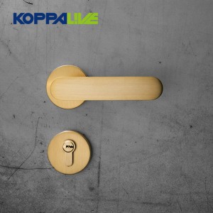 Big Discount Shower Door Pull Handles - 934-B Indoor Lever Door Handle – Zhangshiwujin