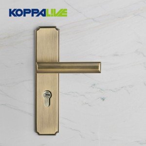 Quality Inspection for Large Door Pull Handles - 953-03 Indoor Lever Door Handle – Zhangshiwujin