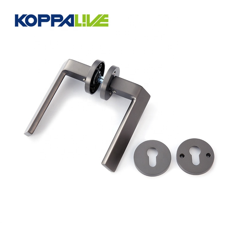 China OEM Antique Brass Drawer Handles - New fashion customized modern zinc alloy hardware double sided door lever handles – Zhangshiwujin
