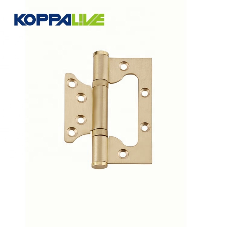 Cheap price Inset Cabinet Door Hinges - Furniture Hardware Brass Concealed Sub Mother Iron Shower Pivot Door Hinge for wooden door – Zhangshiwujin
